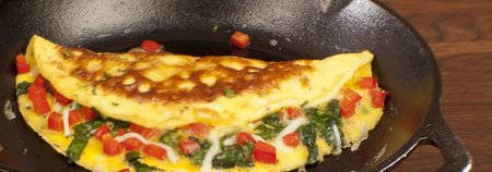 Lodge Pre-Seasoned Cast Iron Skillet $14.97