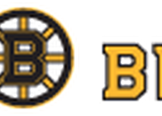 Boston Bruins