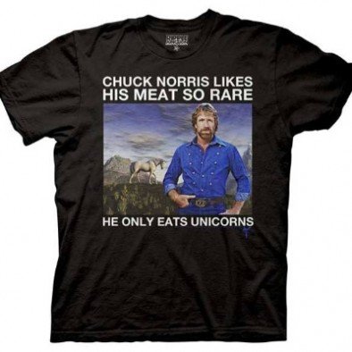 Chuck Norris T-Shirts from SlingshotTShirts.com