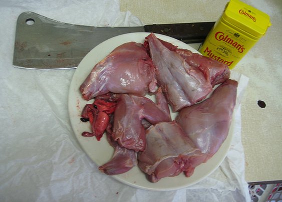 Wild Rabbit in Mustard