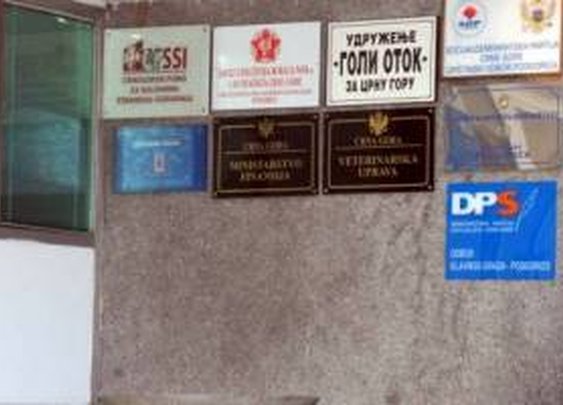 CG: DPS plaća struju za SDP, Savez sindikata, SUBNOR...
