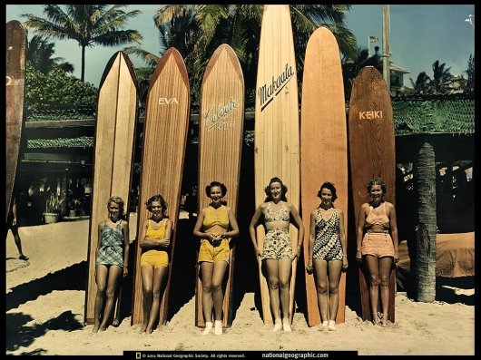 Designspiration — Vintage Waikiki Surfer Girls Wallpaper | Gentlemint