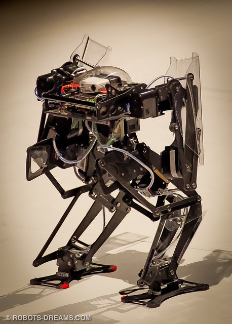 120325 ROBO-ONE 20 B-37 | Flickr - Photo Sharing!