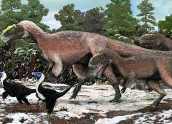 T. rex relative is biggest ever feathered animal
