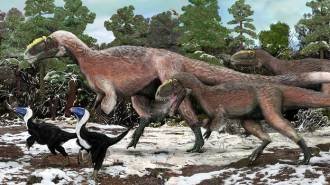 T. rex relative is biggest ever feathered animal