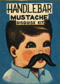 Mustache Disguise Kit