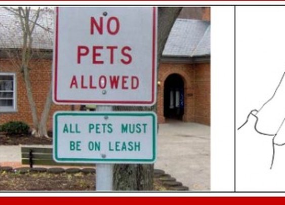 I just...what...I don't even...