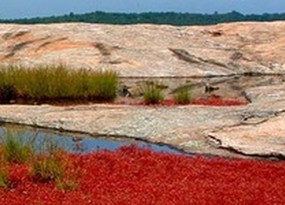 Arabia Mountain National Heritage Area