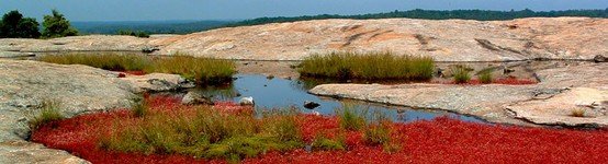 Arabia Mountain National Heritage Area