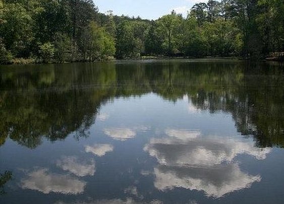 Panola Mountain State Park