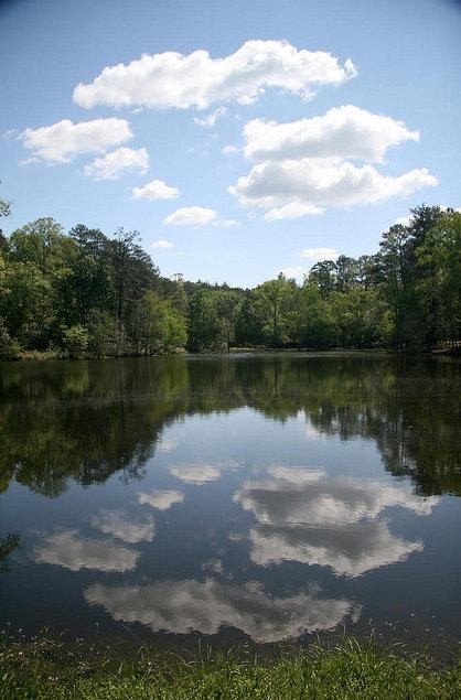 Panola Mountain State Park