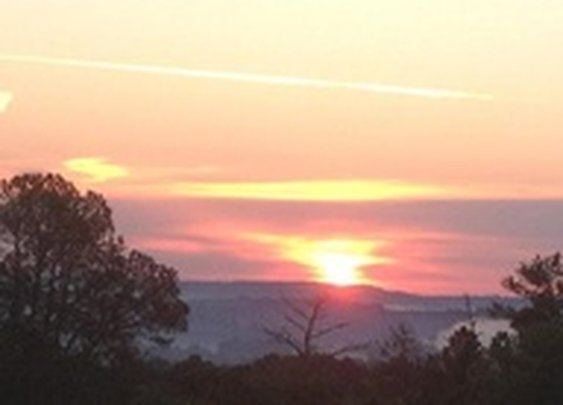 Panola Mountain State Park