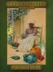 D. Landreth Company Heirloom Seeds and Open Pollinated Seeds