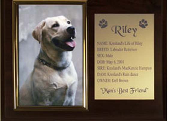 Photo Plaque