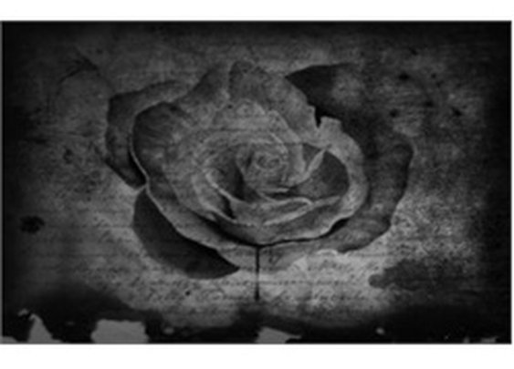 Bleeding Black Rose by Blake Votaw Tattoo Artwork Canvas Art Print