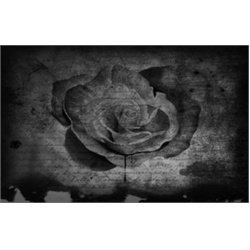 Bleeding Black Rose by Blake Votaw Tattoo Artwork Canvas Art Print