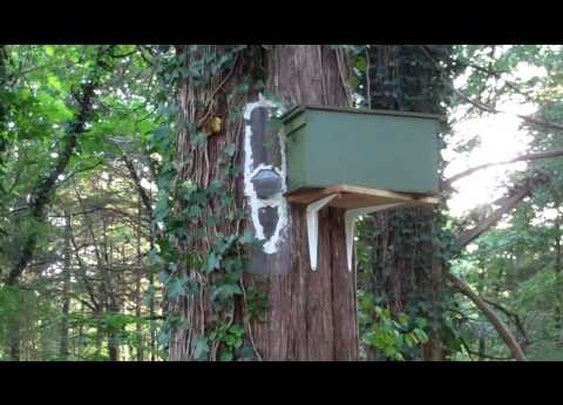 Blackhawk Trapout #1.mp4      - YouTube