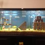 Super Mario Aquarium?!