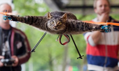 Orvillecopter is a flying dead cat » Coolest Gadgets | Gentlemint