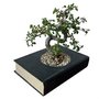 Books to Pots