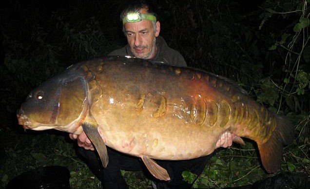 Angler catches two of Britain's biggest carp on same day in Berkshire