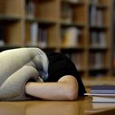 Ostrich pillow allows you to take naps almost anywhere – and now you can buy one