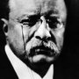 Theodore Roosevelt Motivational Posters | The Art of Manliness