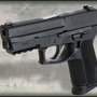 SIG Sauer Pro SP2022