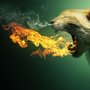 Dragon Cat and Other Awesome Photo Manipulations of Animals - My Modern Metropolis