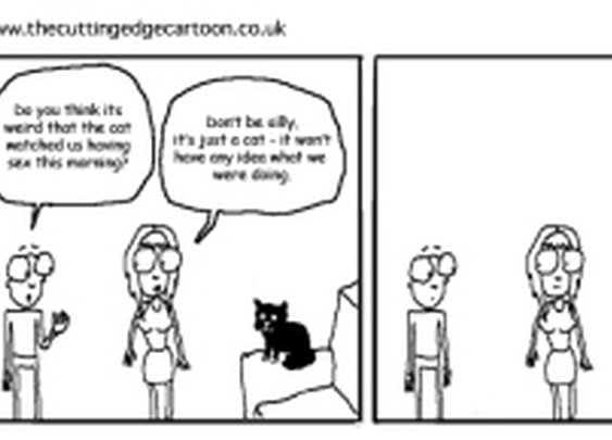 Cat watching sex « The Cutting Edge