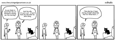 Cat watching sex « The Cutting Edge