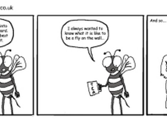 Fly on the wall « The Cutting Edge