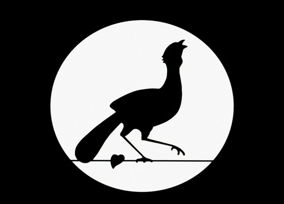 La Guacharaca Café on Vimeo