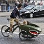 trioBike Cargo Bike — The Man's Man