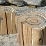 Stumps as art furniture or sculptures