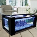 Coffee Table Aquarium