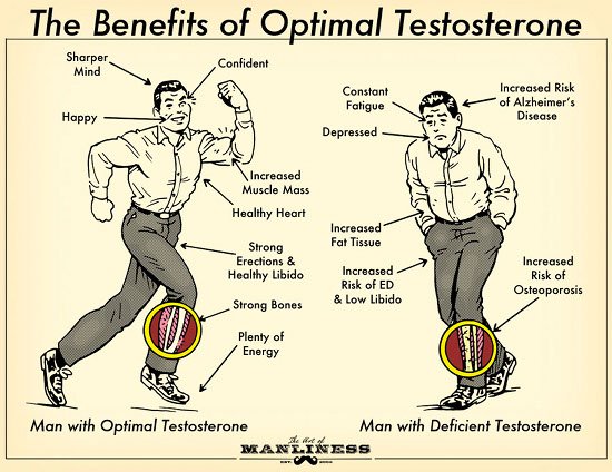 Testosterone Week: The Benefits of Optimal Testosterone | The Art of Manliness