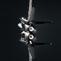AIR FORCE