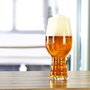 Beer Drinking Glass Engineered for IPAs - Sierra Nevada Dogfish Head and Spiegelau Collaborate on India Pale Ale Glass - Esquire