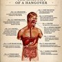 The Anatomy of a hangover