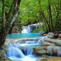 5 Essential Jungle Camping Tips