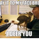 I deer you!