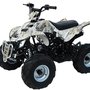 T125AX Sport ATV