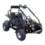 TrailMaster 150 XRX GoKart