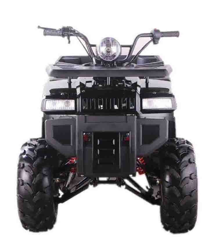 T125E Utility ATV