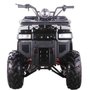 T125E Utility ATV