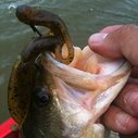 The Top 20 Most Influential Bass Fishing Lures