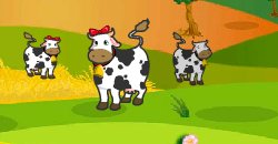 İnek Kutu Patlatma Oyunu