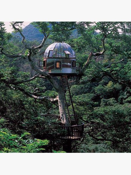 World's Most Extreme Tree Houses | Gentlemint