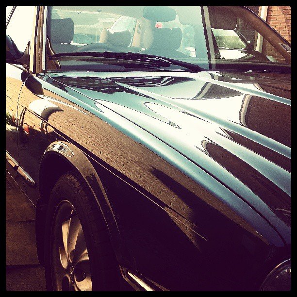 Photo by dragonpaulzee • Instagram